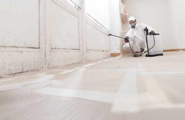 24/7 Emergency Mold Remediation experts in Silverdale, PA