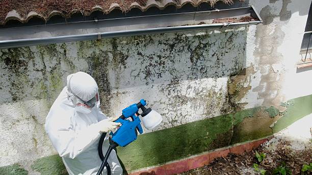 Top rated local Mold Remediation specialists in Silverdale, PA